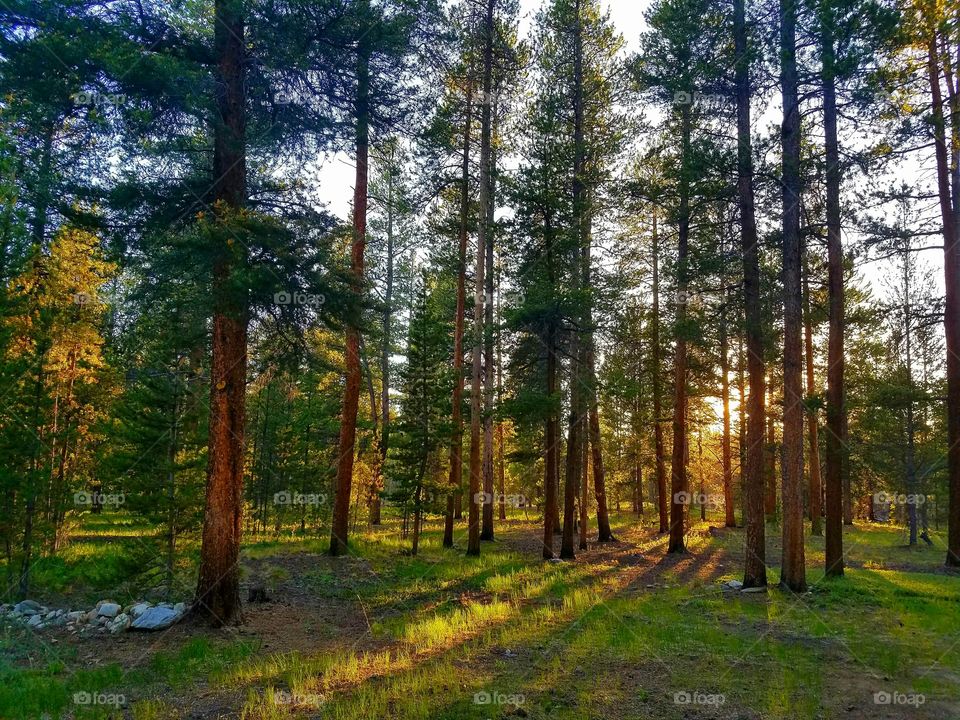 sunset in Colorado