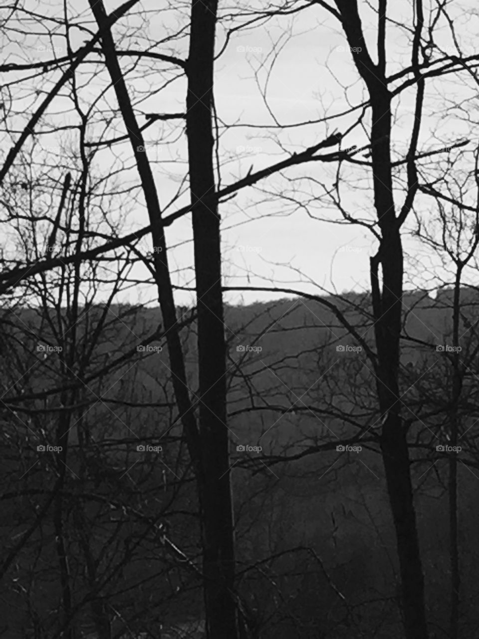 A spooky view of the top of a hill in Minerva Ohio on a rainy afternoon 