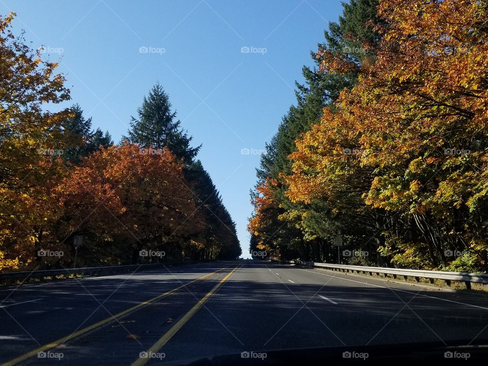 Fall road trip