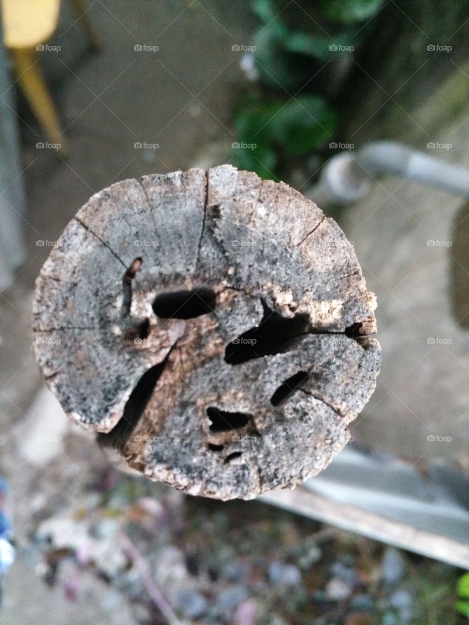 piece of Wood