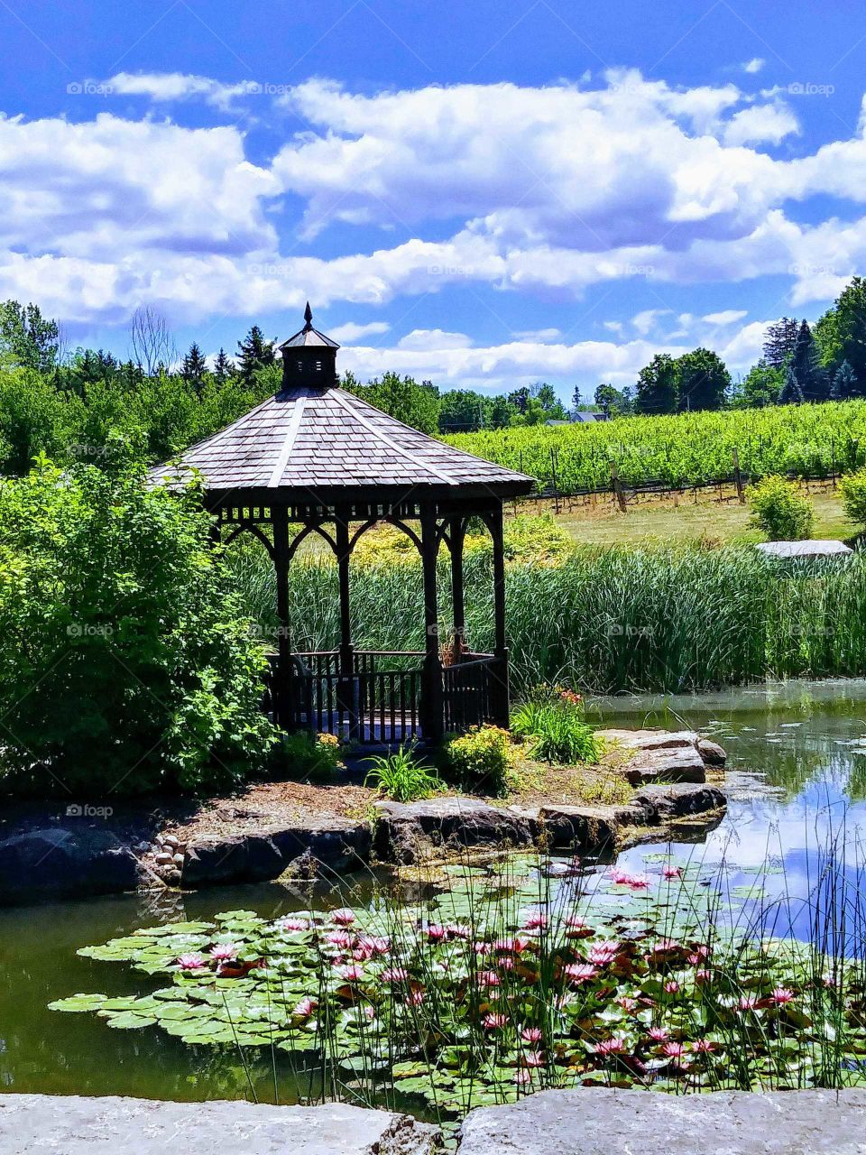 Gazebo at Angel's Gate Winery in Beamsville, ON