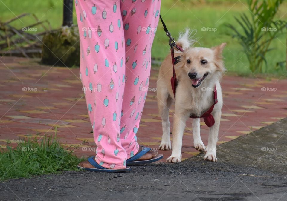 out for an evening walk...