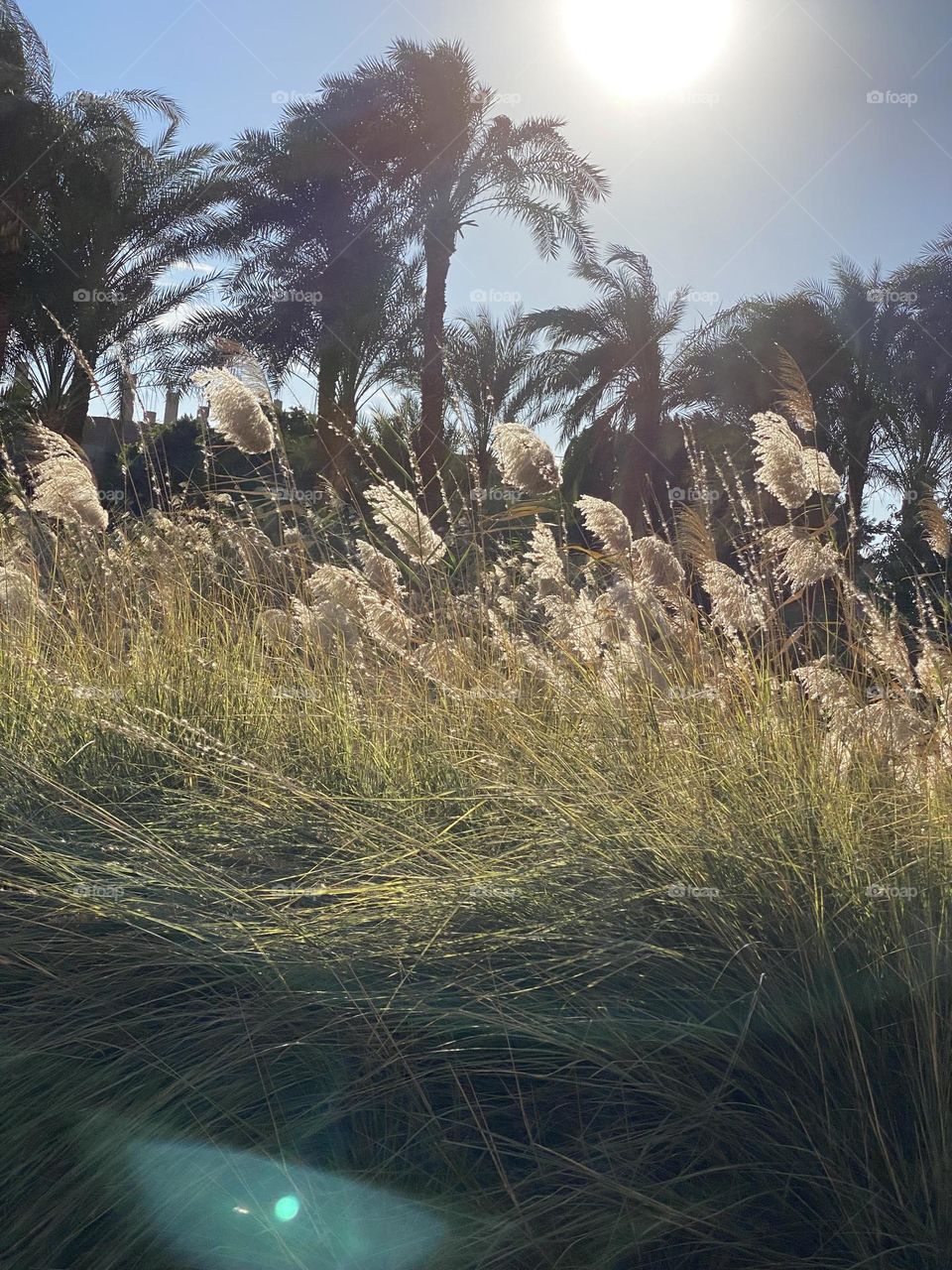 The view from a moving car window 