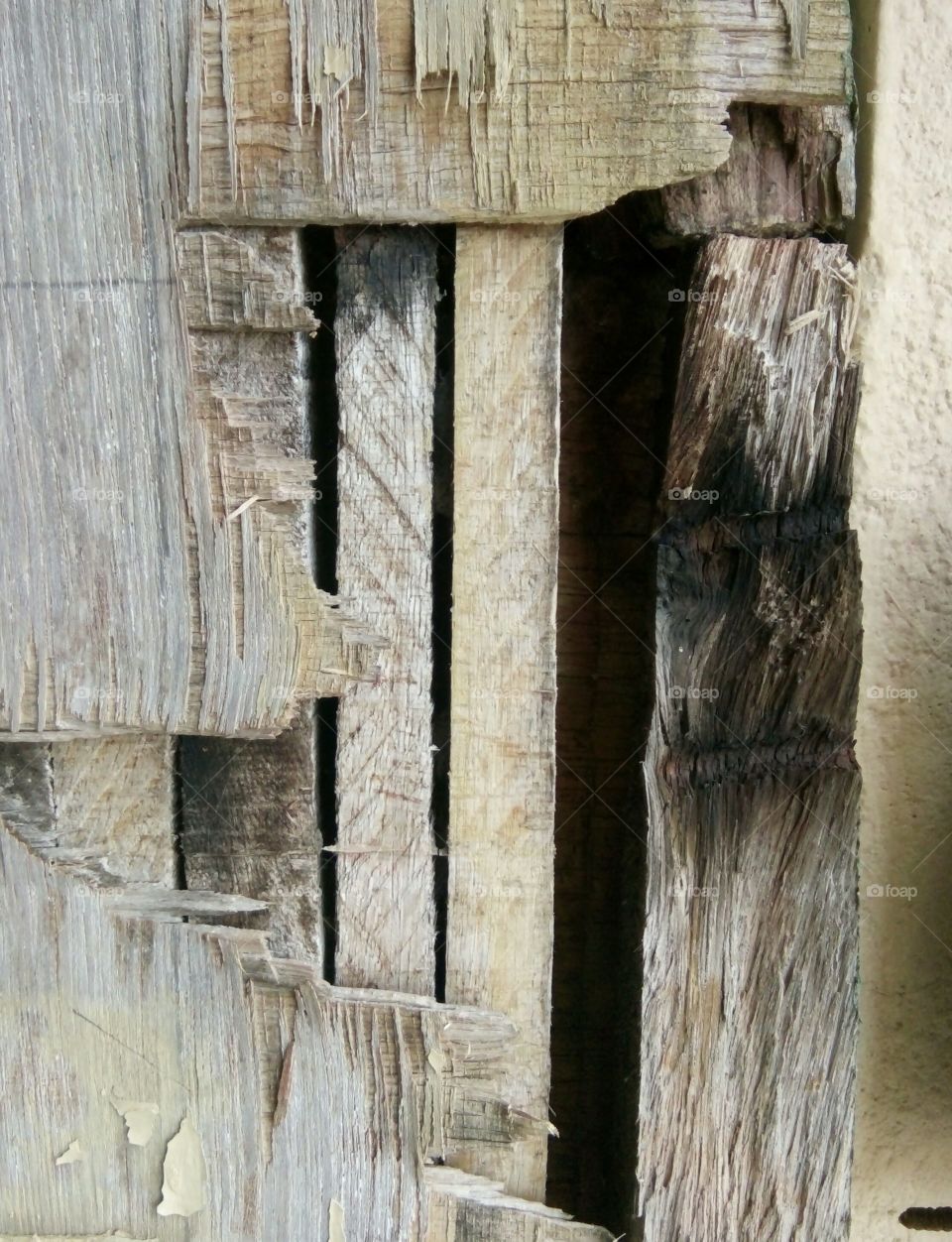 plywood taxture/cracked play taxture/old plywood taxture