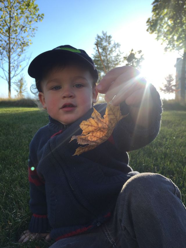 Autumn Leaf