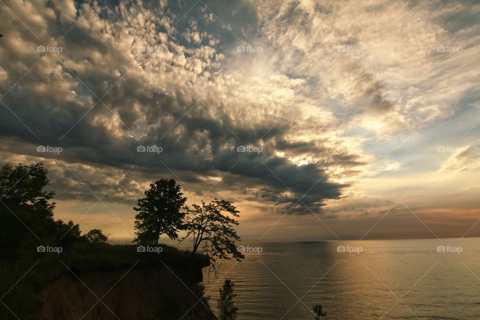 Silhouette of trees by sea at dusk