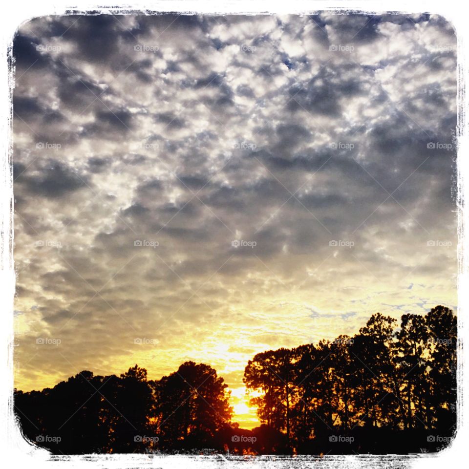 ✌🏻️Desperta, #Jundiaí (clique sem filtros).
Ótimo sábado à todos.
🌅
#sol
#sun
#sky
#céu
#nature
#manhã
#morning
#alvorada
#natureza
#horizonte
#fotografia
#paisagem
#amanhecer
#mobgraphia
#FotografeiEmJundiaí
#brazil_mobile
￼
