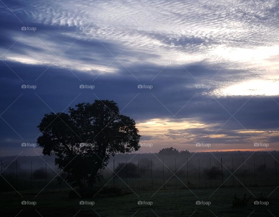 daybreak on a farm. cloudy with a little bit of fog. beautiful landscape.