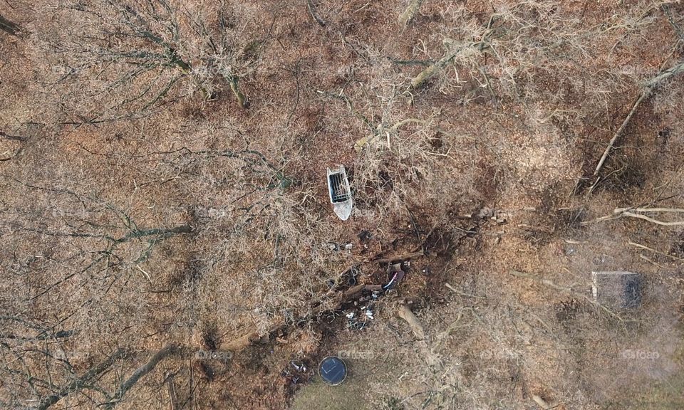 Boat floating in the woods