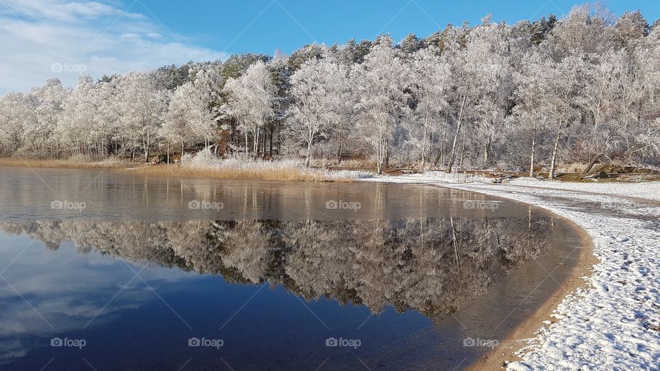Beautiful winter landscape in snow,  forest reflection on the lake - vackert vinterlandskap i snö, träd reflektion på spegelblank sjö 