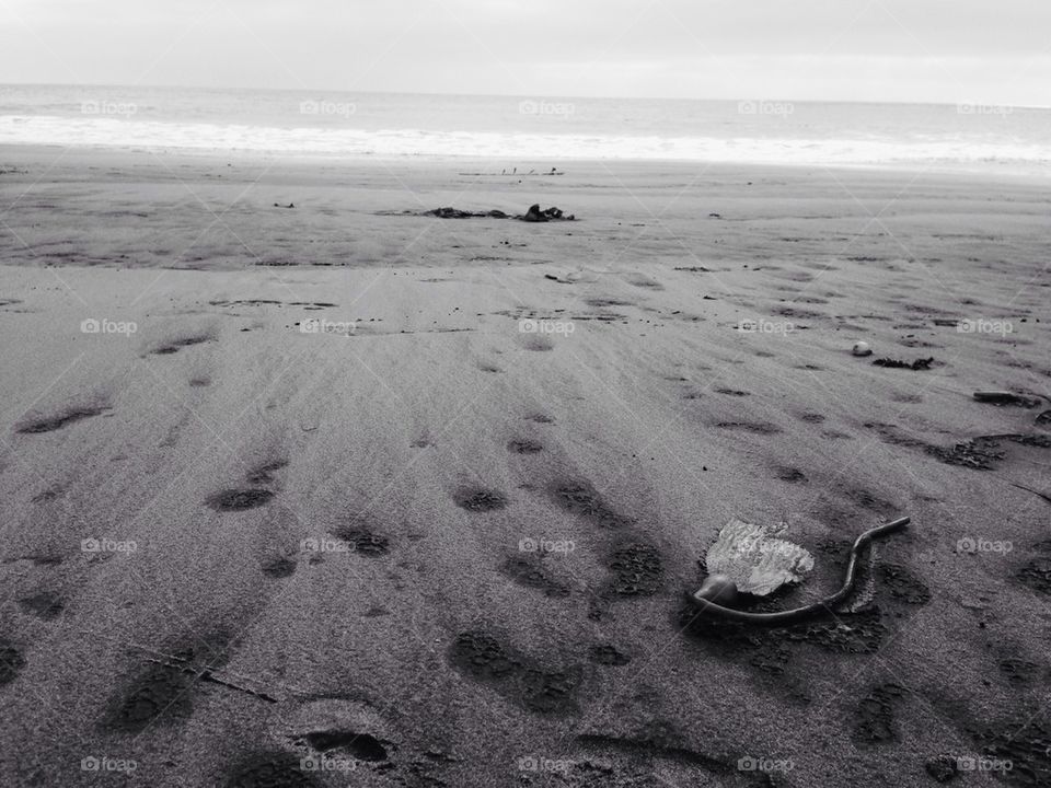 Lonely beach