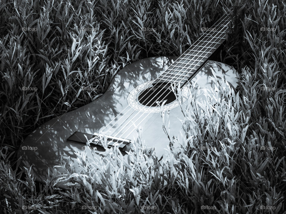 Guitar