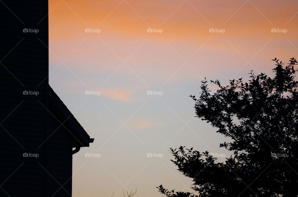 Sunset. Evening Silhouettes 