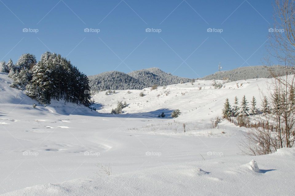 Winter landscape