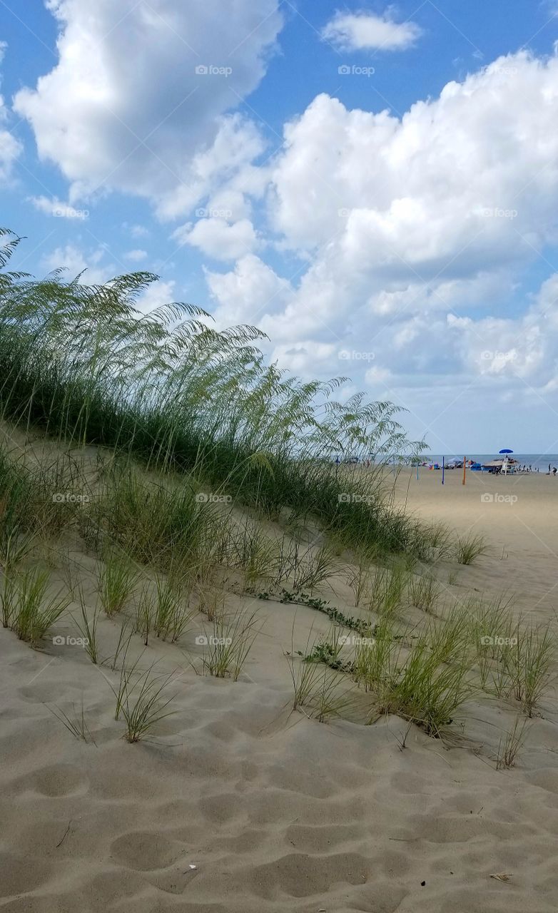 Weekend trip this summer to the beach on a beautiful sunny day.