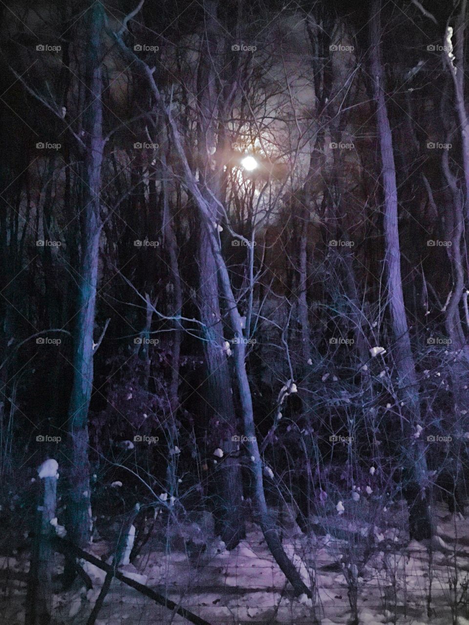 A Moony Night