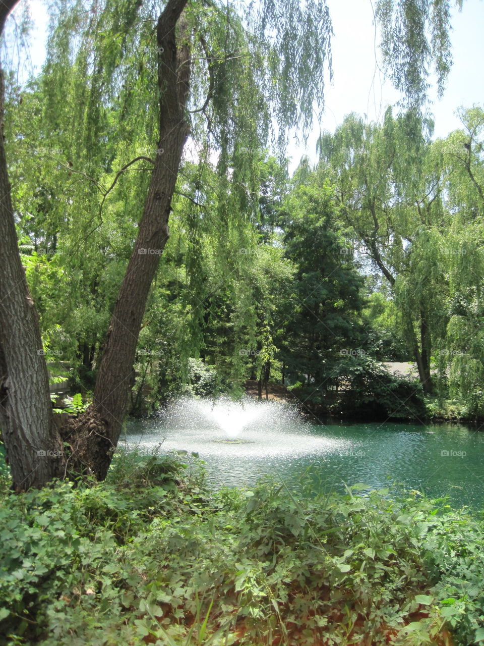 Fountain in the trees