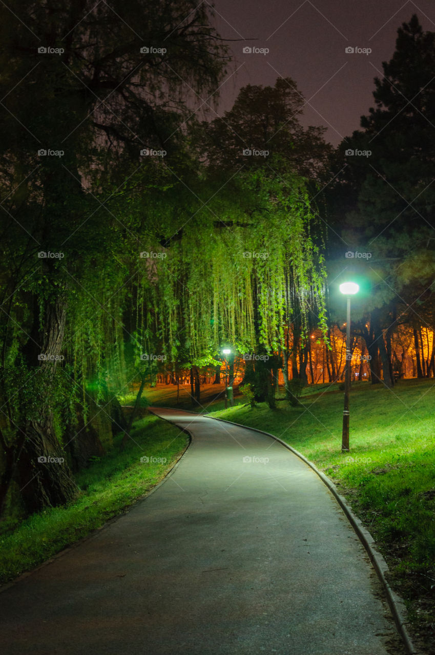 Night path in the park