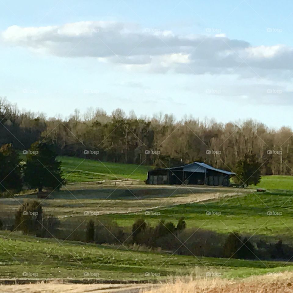 Barn in Distance