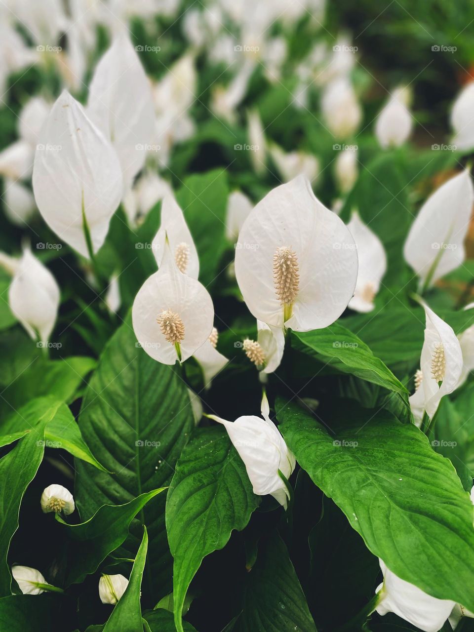 Take time to appreciate the beauty around you... Before the day ends and darkness arrives. - Unknown author