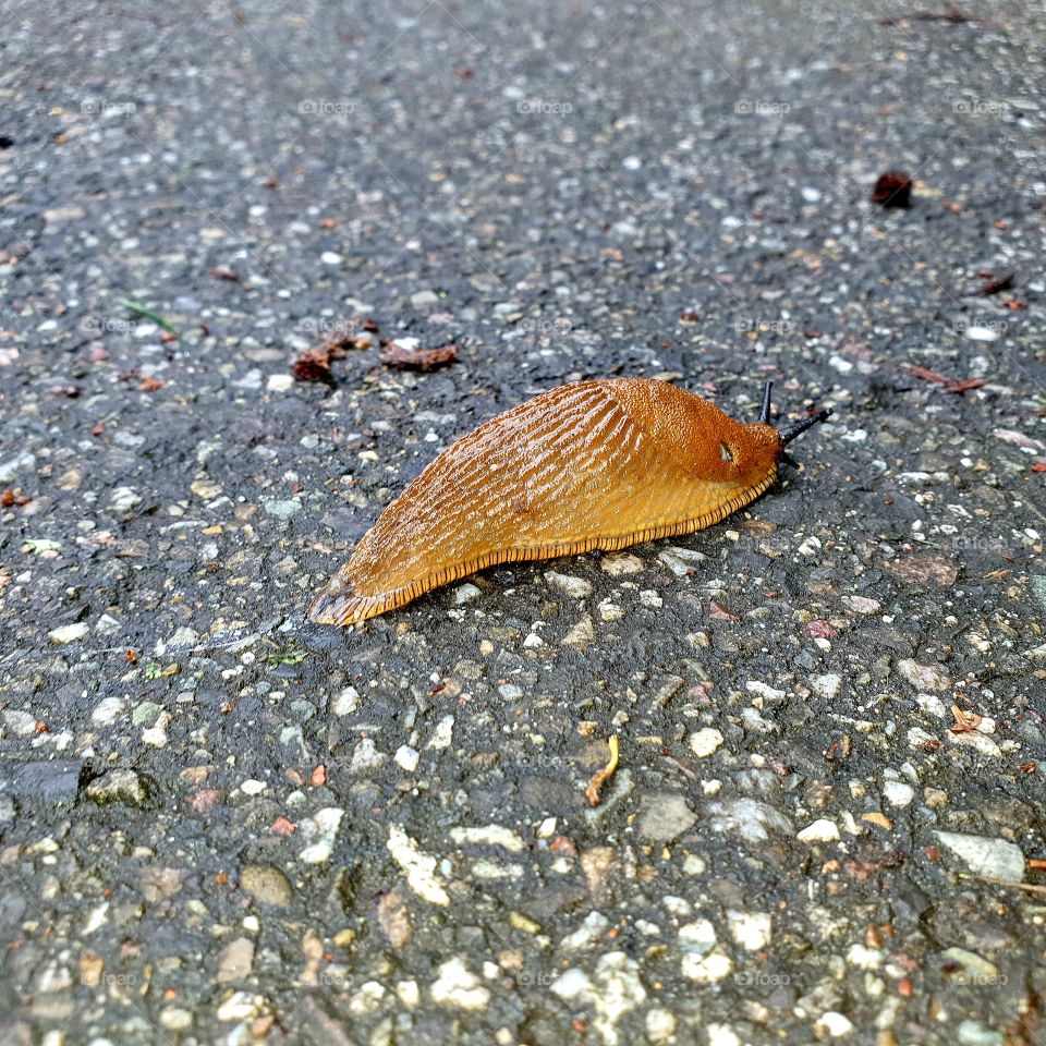 Naked slim walking. Nature