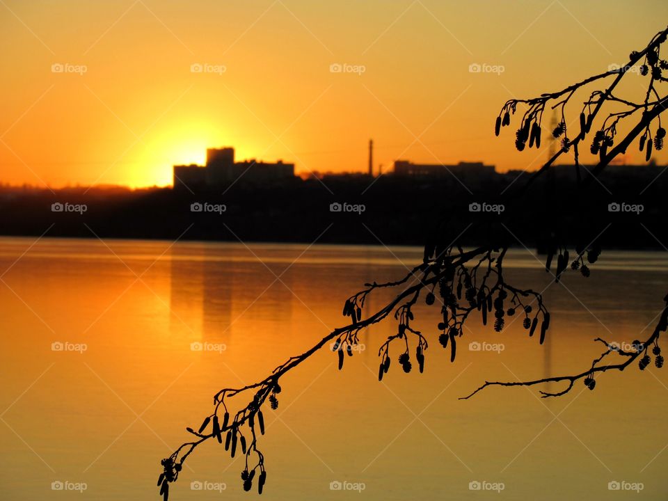 transparent and ghostly frosty day, sunset