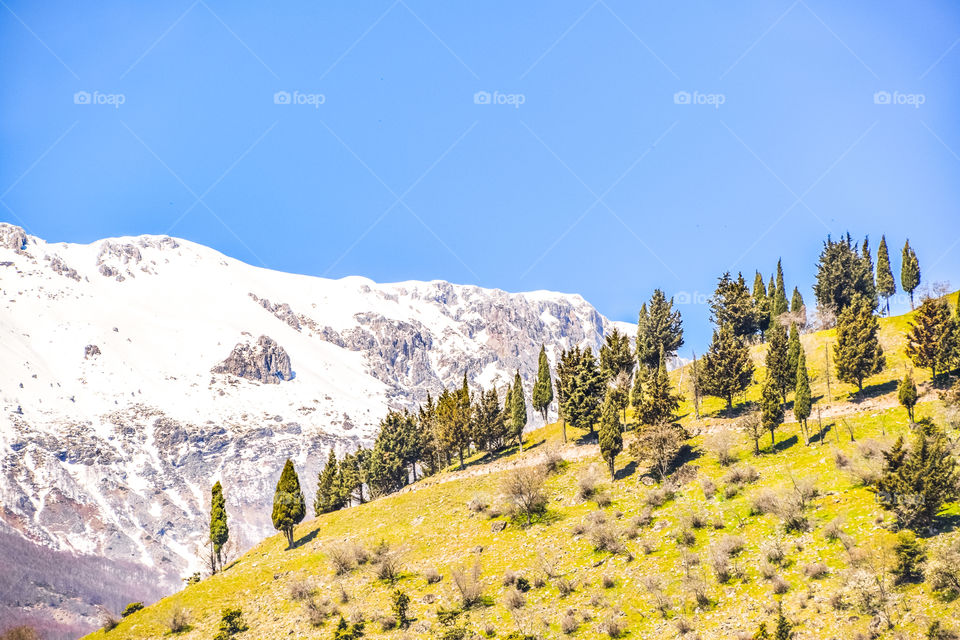 Rural Landscape With Snowy And Green Mountains
