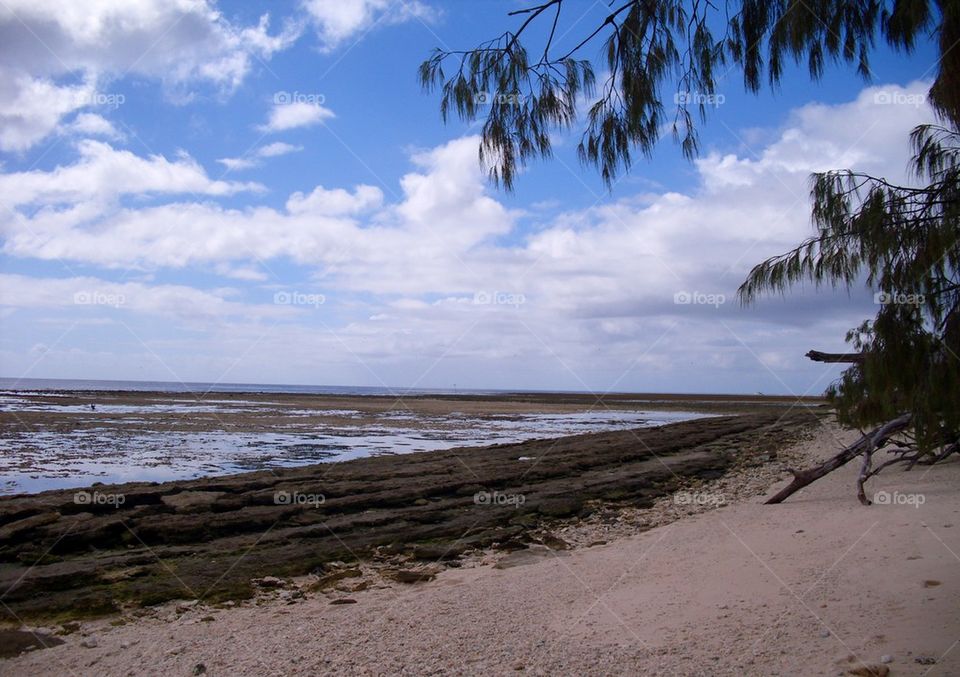 Lady Musgrave Island View