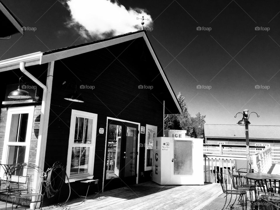 Net Shed #9 in Black and White