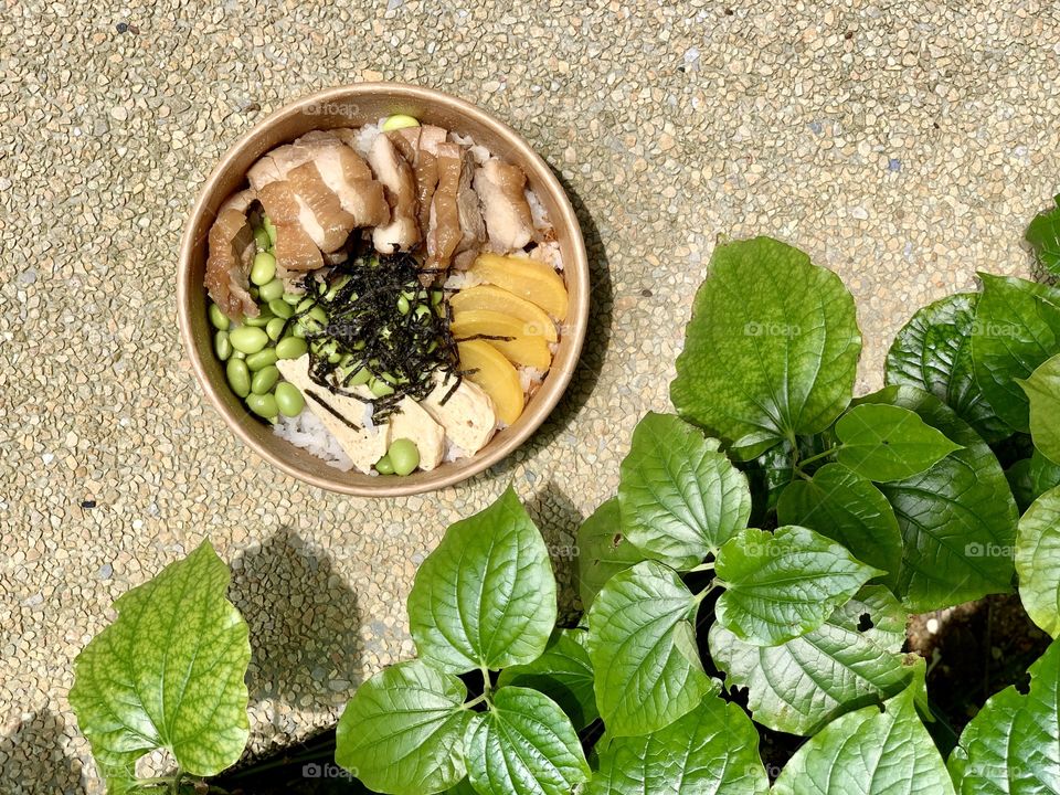 teriyaki chicken donburi 