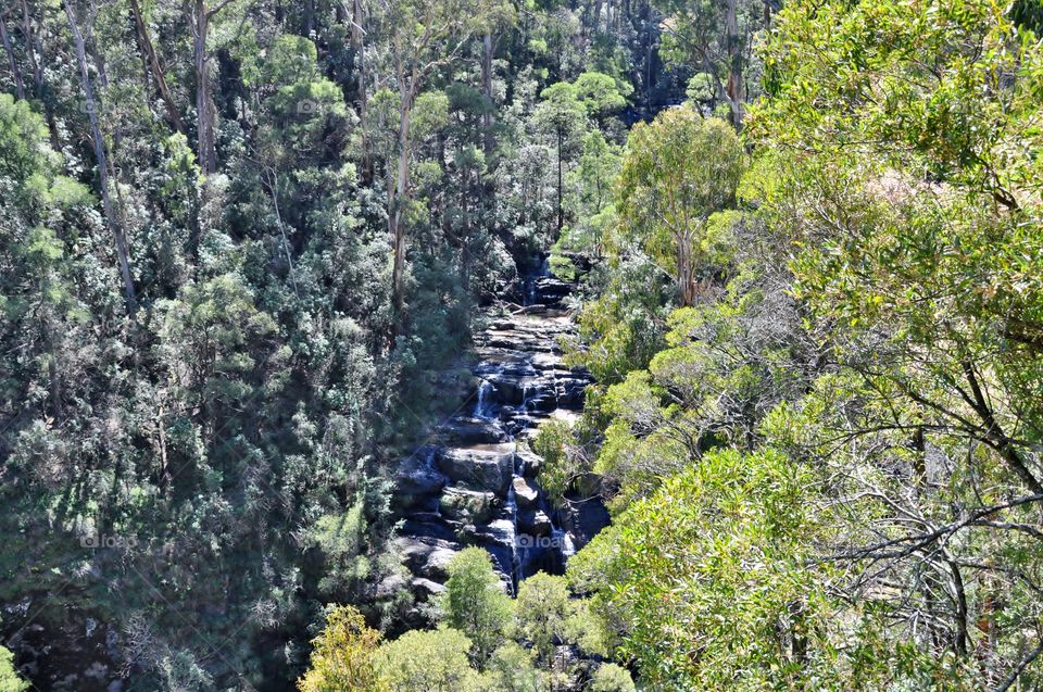 Waterfall in the forest 