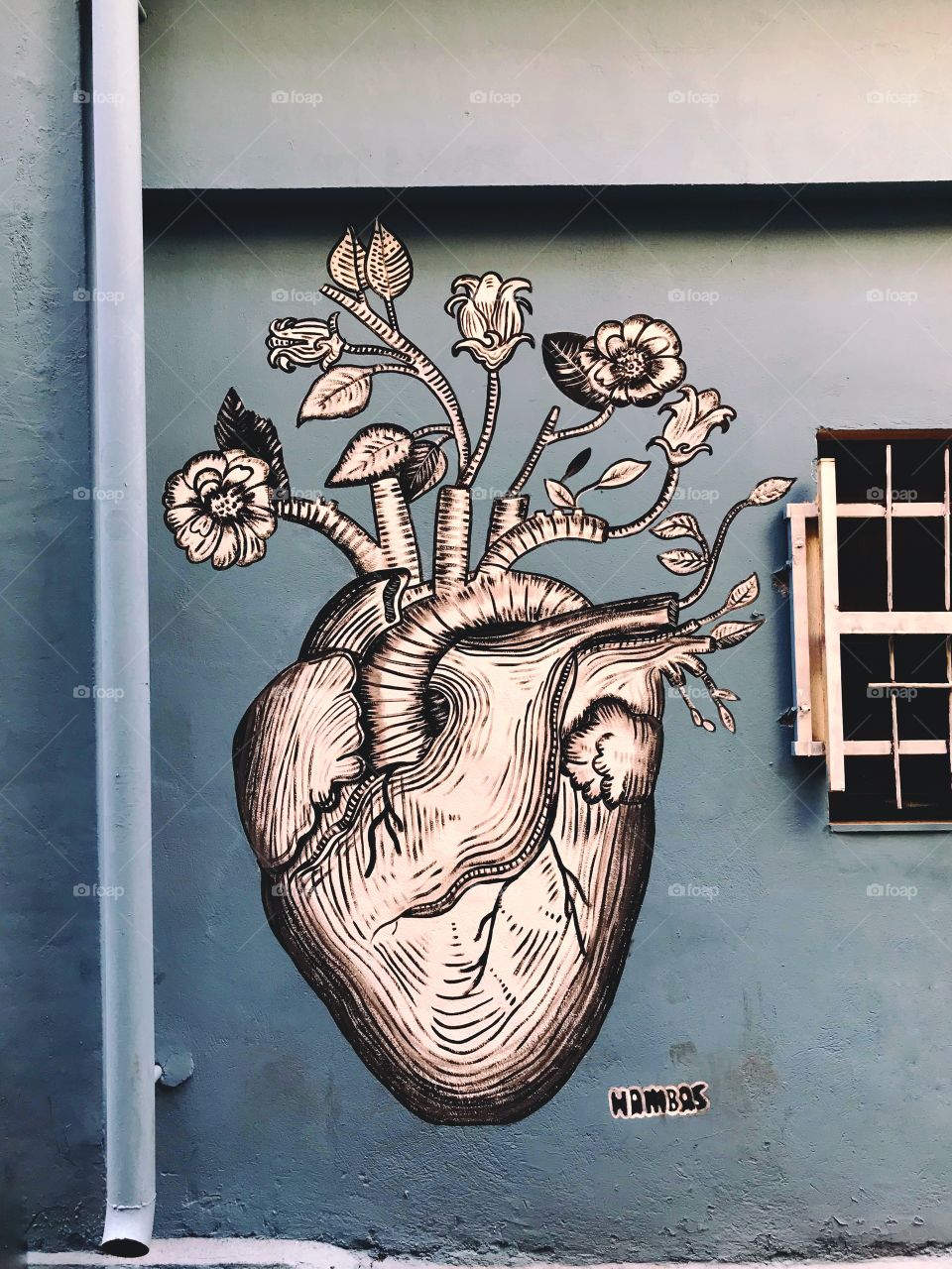 blooming heart