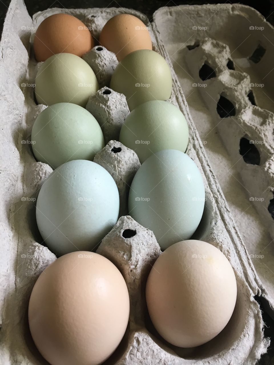 A carton of organic eggs sorted in pairs by colour from pale beige to blue, mint green, olive and brown. 