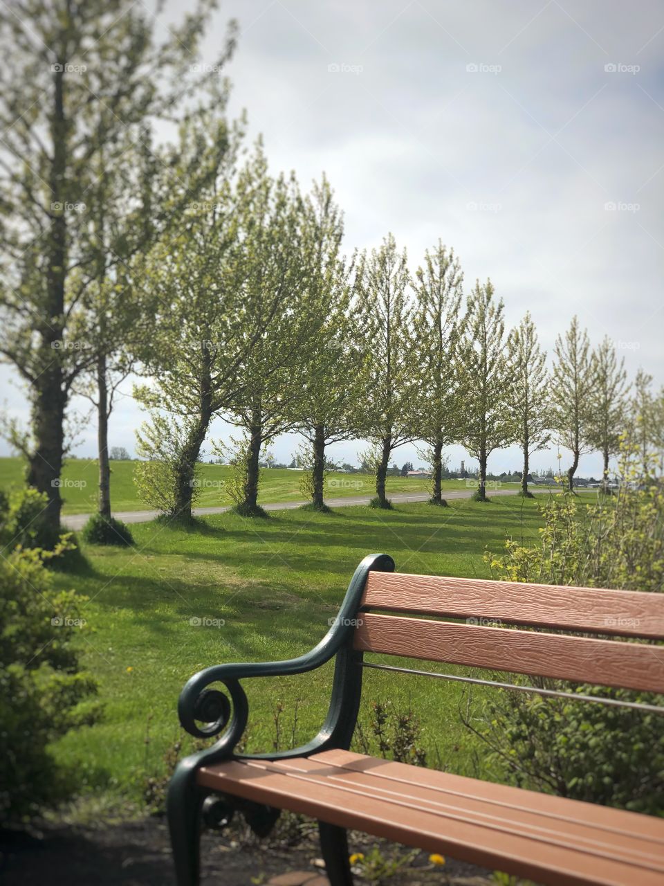 Have a seat if you will.  Spend sometime absorbing the sun smiling down on you.   Summer comes to is all as a gift.