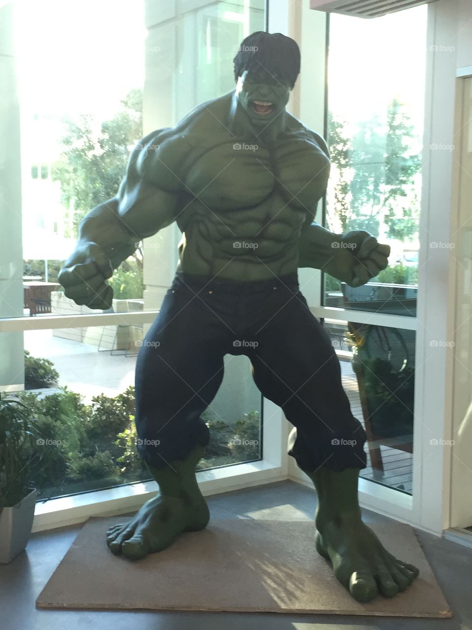 The Hulk
