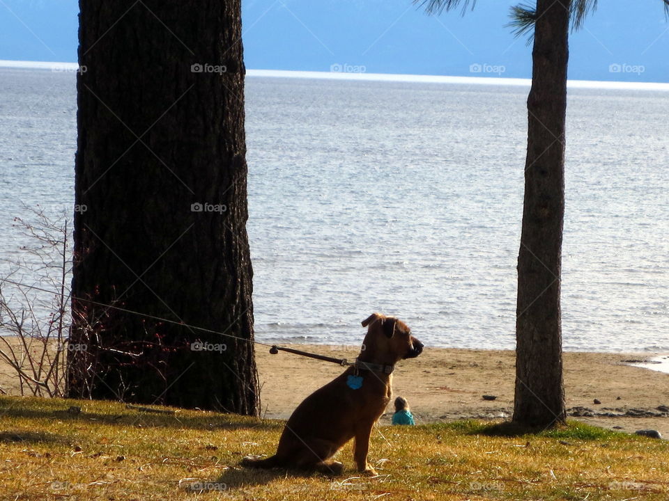 Resting after long day at lake