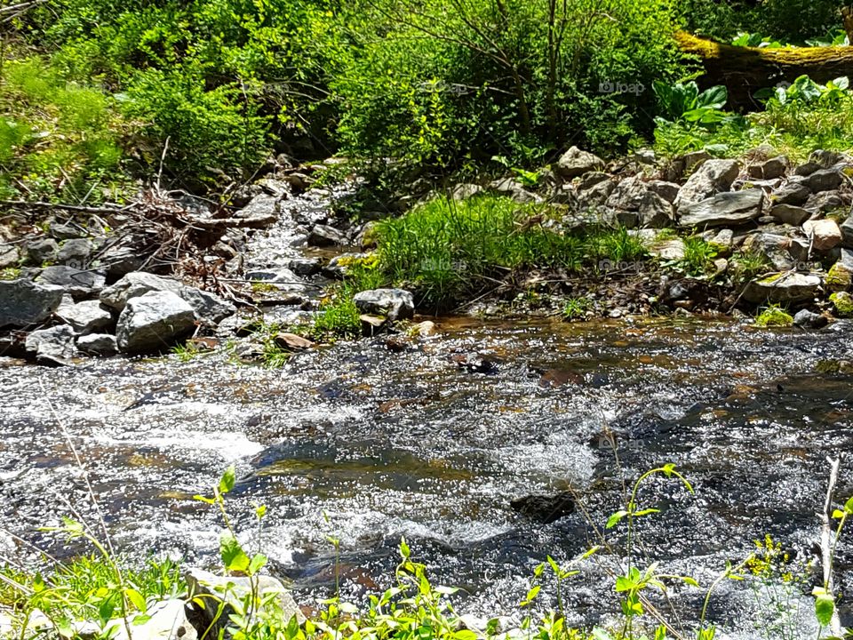 mountain stream