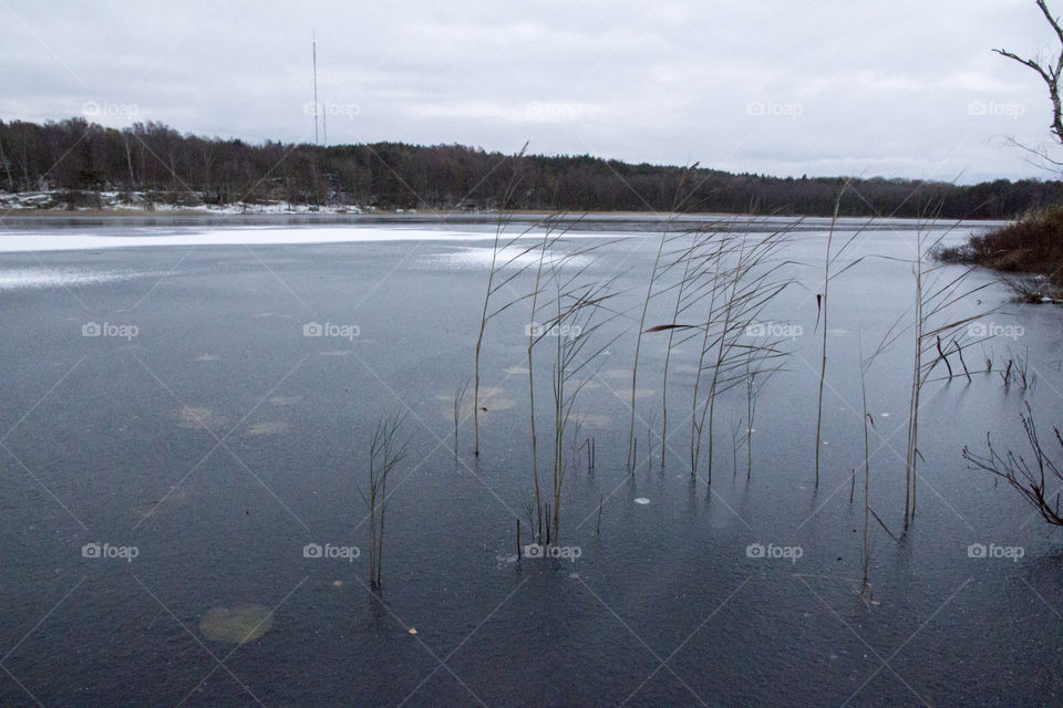 Frozen lake in the forest - ice.
Sjö is vass 