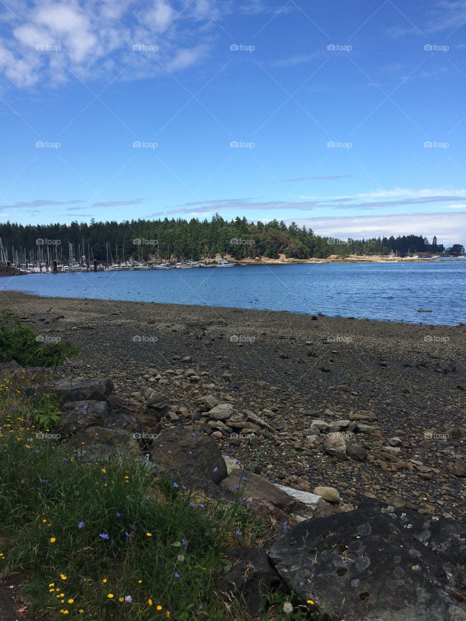 Picture of the view from the Nanaimo Promenade overlooking Newcastle Island in Nanaimo, BC. 