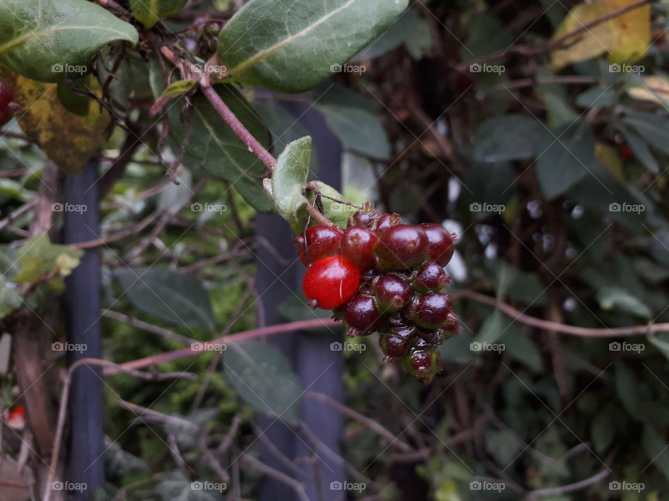 a little one cutie❣😍