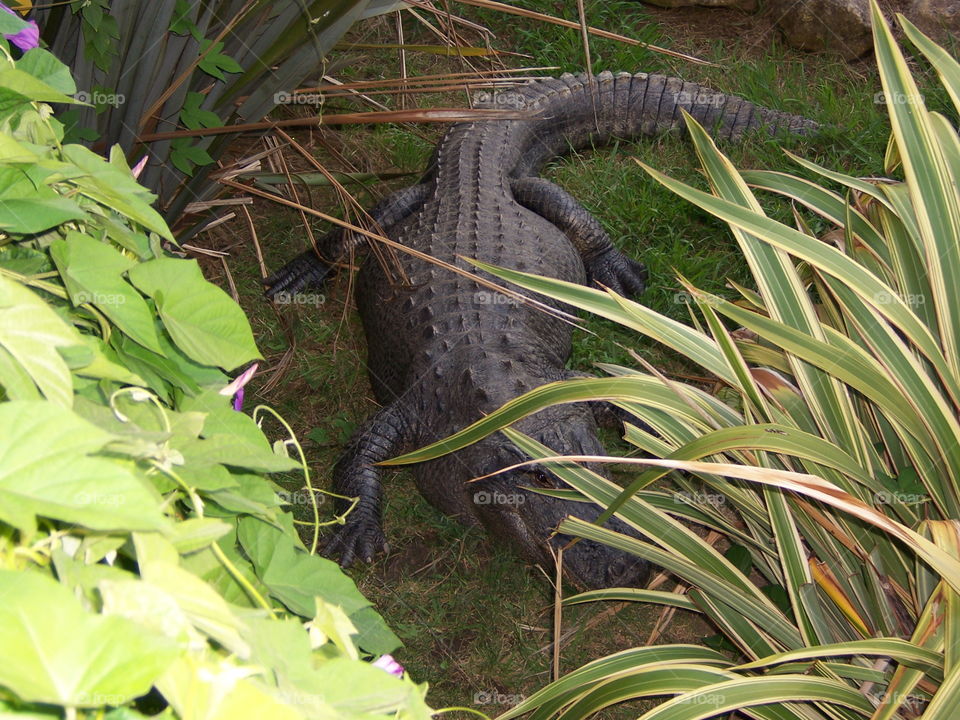 I'm looking at you. Six flags