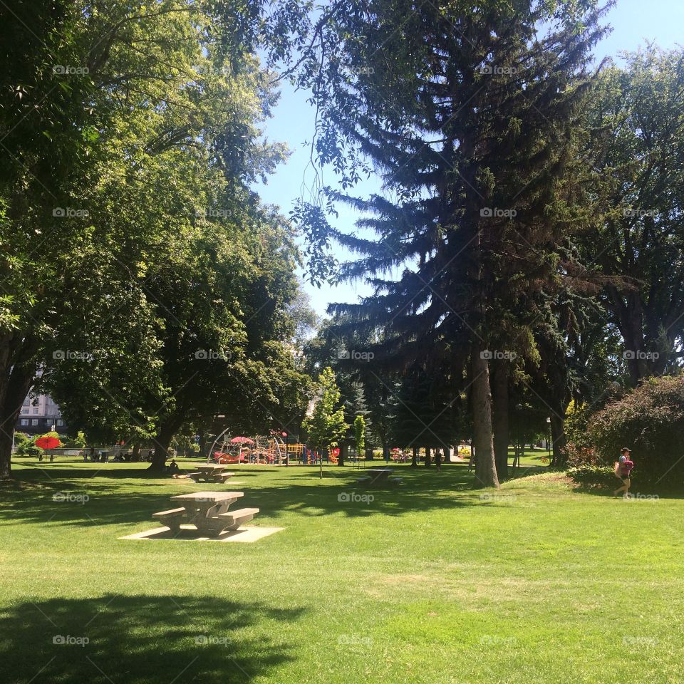 Sunny day at riverside park! 