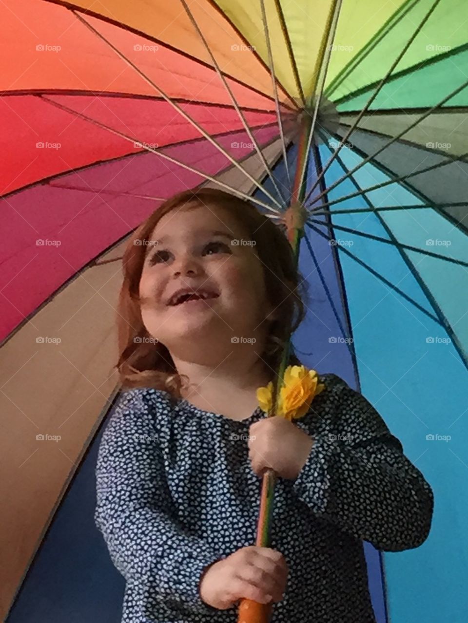 The wonder of colors