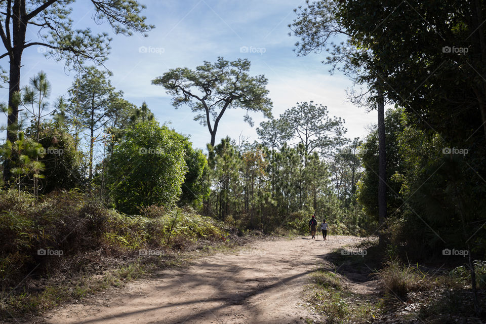 Tourist in the forest path