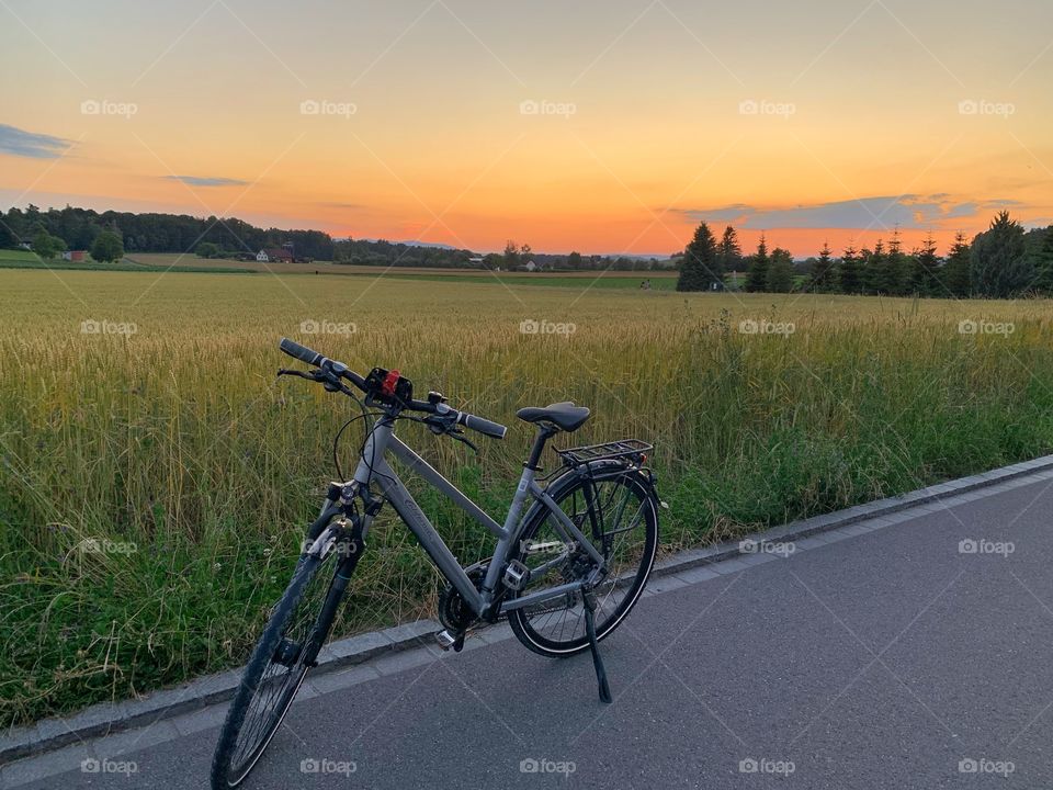 Cycle at sunset 