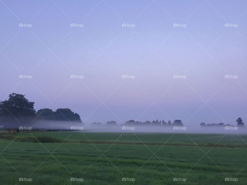 Misty dawn 