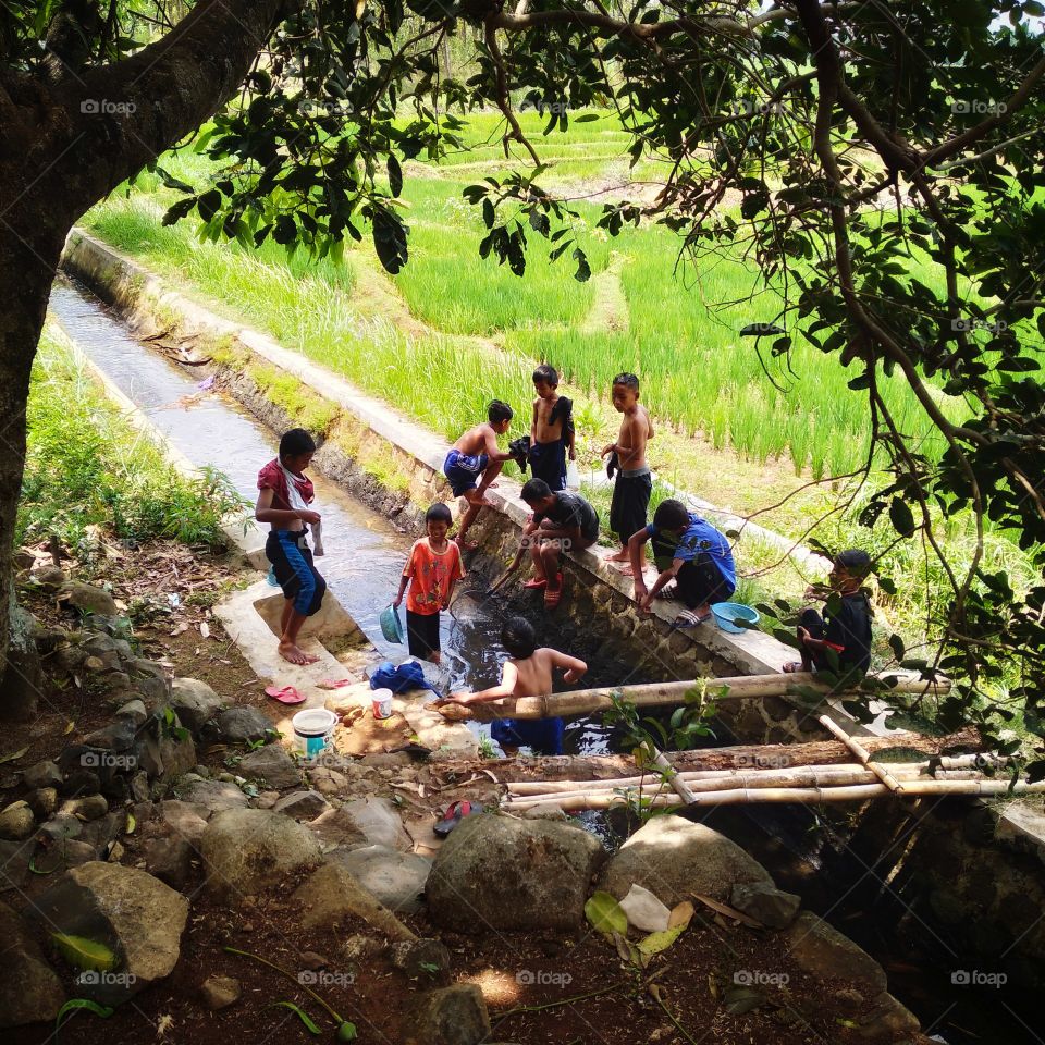 Little children are having fun playing by the river