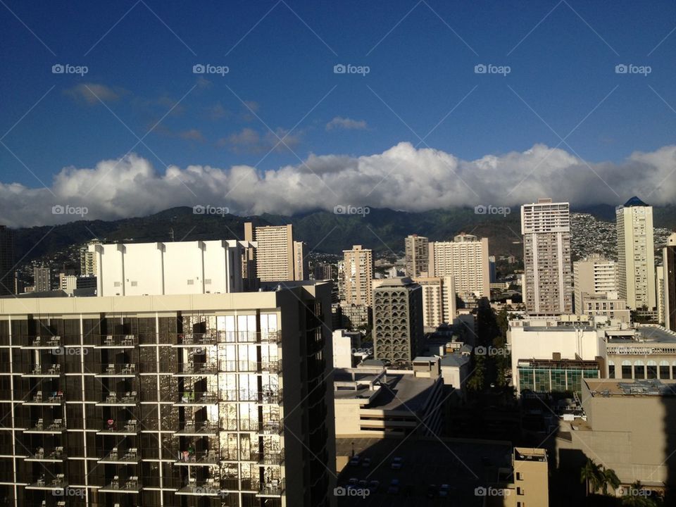 Skyline Honolulu