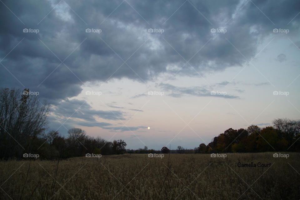 Moon and sky over a Michigan field in the fall, beautiful sunset and woods