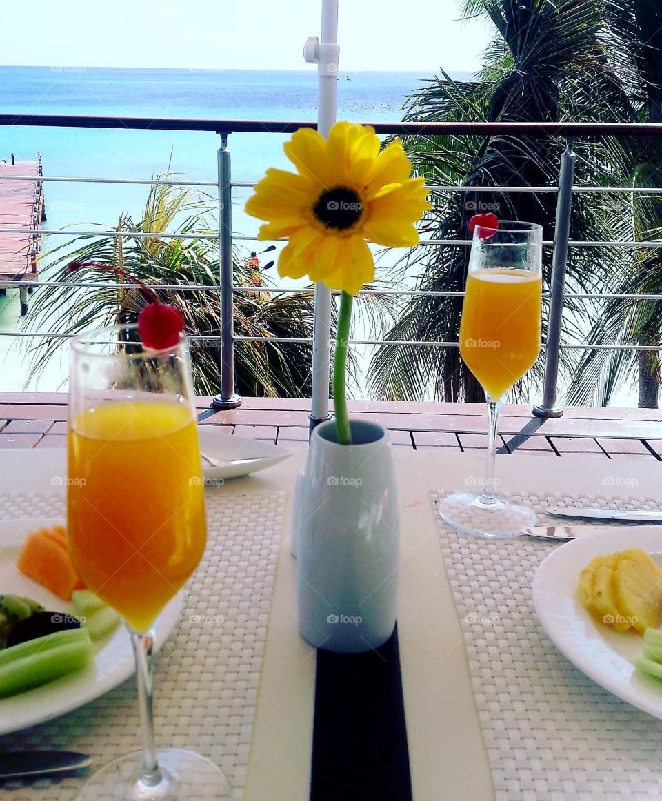 Breakfast with a view.